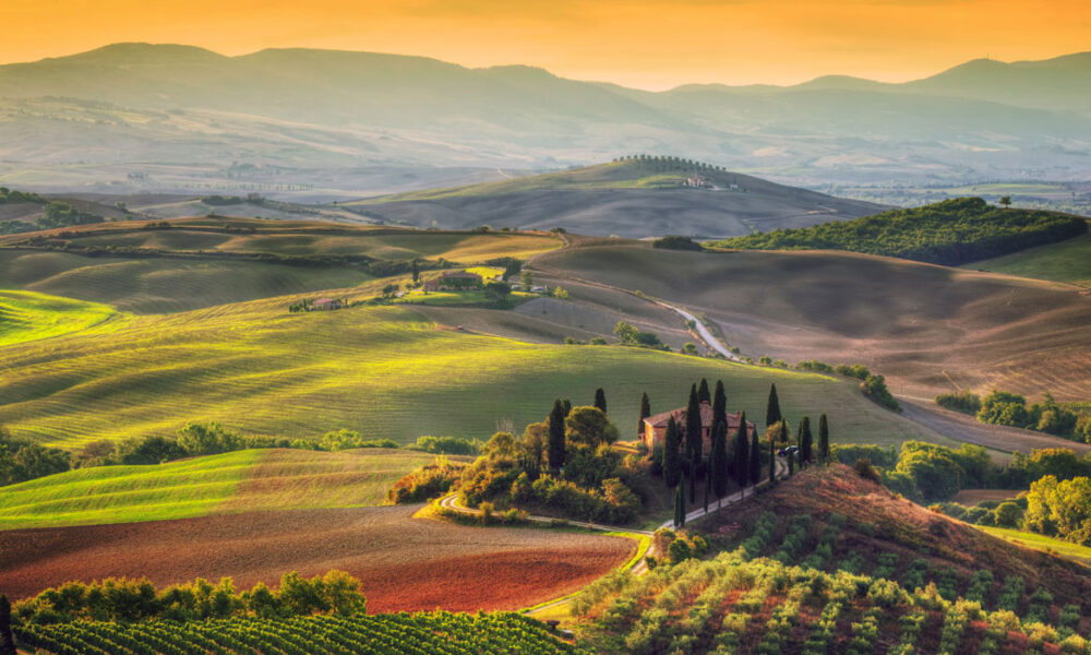 Strade del vino
